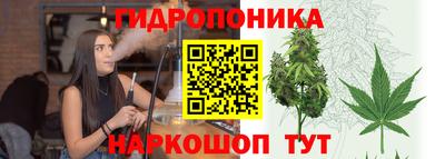 каннабис Новозыбков