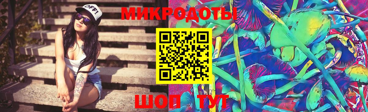 Шелехов  даркнет сайт  Вход с VPN  Псилоцибиновые грибы мухоморы 