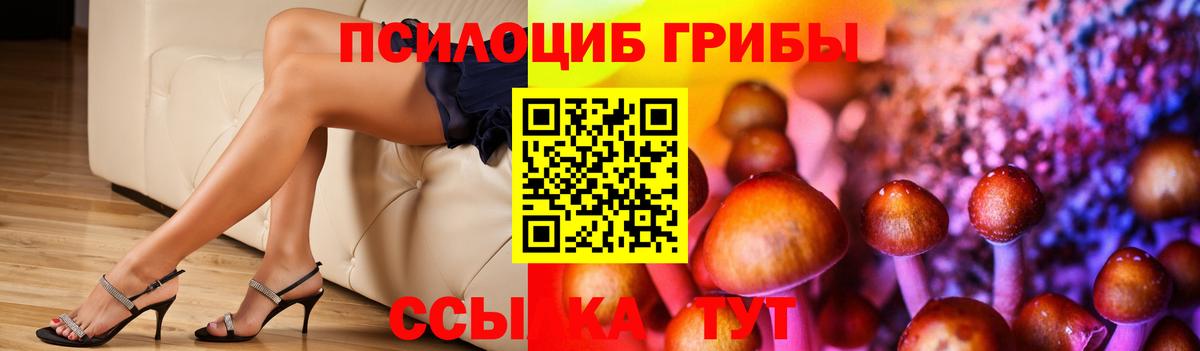 Псилоцибиновые грибы Psilocybine cubensis Шелехов