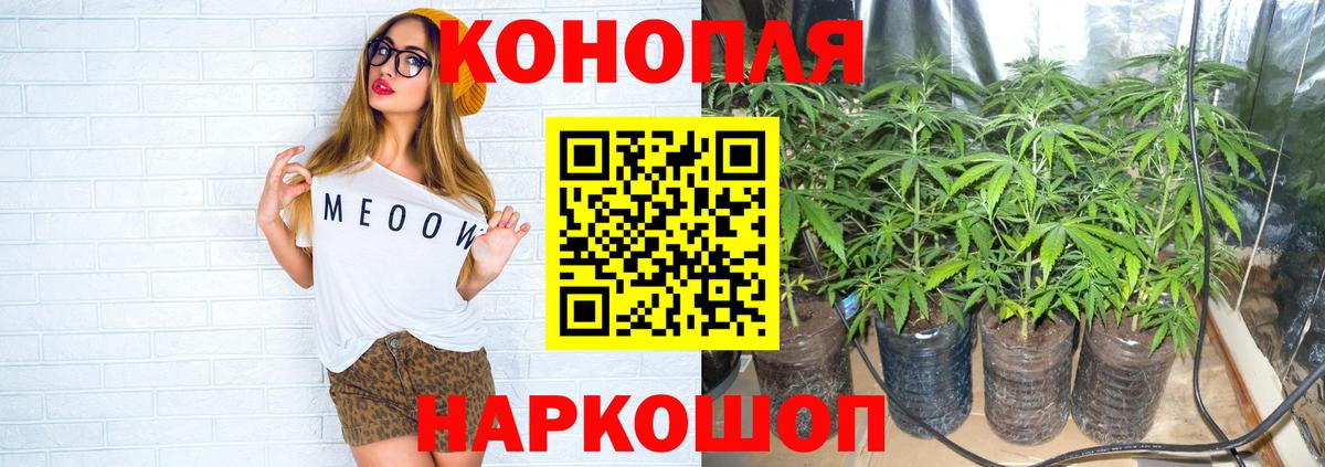 Каннабис семена Шелехов